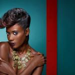 Black Beauty 2013 - kolekcja Coiffeur en France
