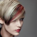 REINVENTED TRIBAL - GOLDWELL Color Zoom 2015 - Traditional Rebels
