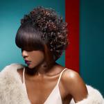 Black Beauty 2013 - kolekcja Coiffeur en France