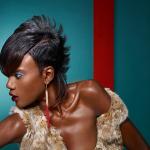 Black Beauty 2013 - kolekcja Coiffeur en France