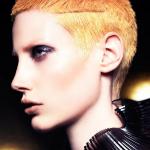 Mark Leeson – Spotlight - BHA Winning Collection 2014